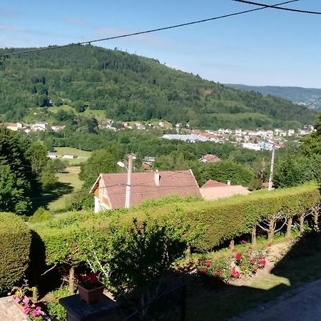 Vila Gite De Bellevue Maison Traditionnelle Vosgienne Plainfaing Exteriér fotografie